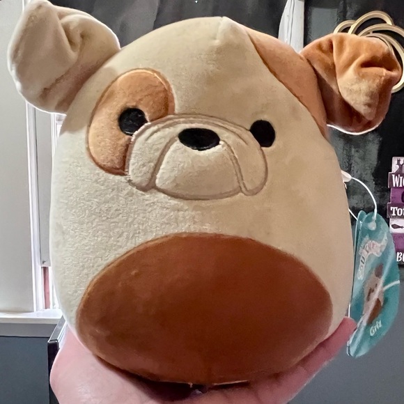 NWT Griz The Bulldog Squishmallow Stuffed Plush Collectible Toy - Picture 4 of 8